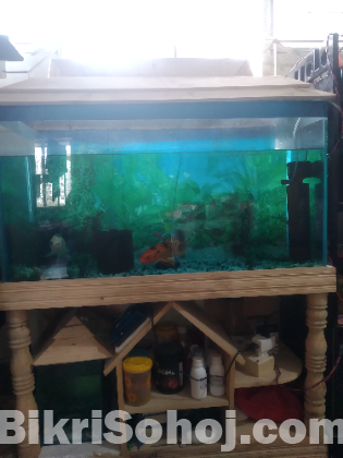 Aquarium sale